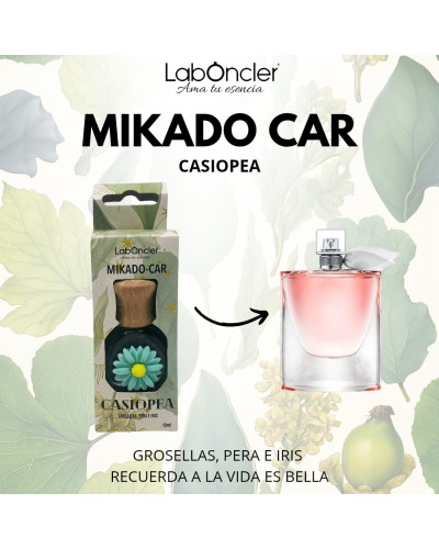 Ambientador coche Laboncler