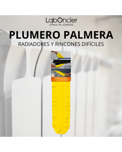 Plumero palmera
