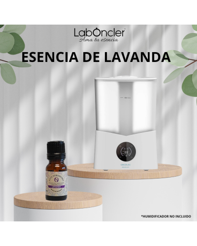 Esencia lavanda