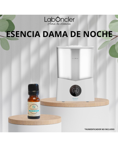 Esencia dama de noche