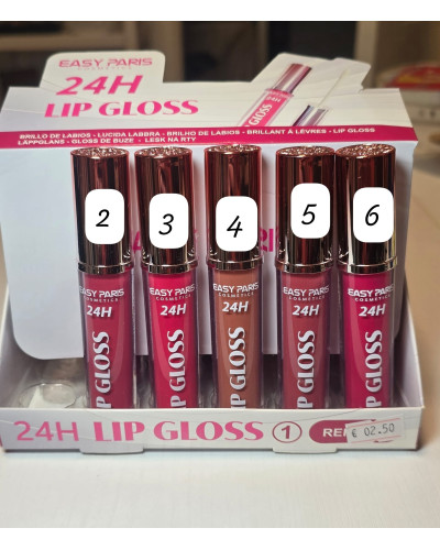 Lip Gloss 24H Easy Paris